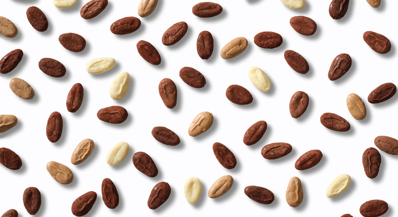 Bean to Bean bonbons van Visser Chocolade